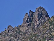 Bocchetta di Budria-Monte Azzaredo ad anello fiorito-10lu22 - FOTOGALLERY